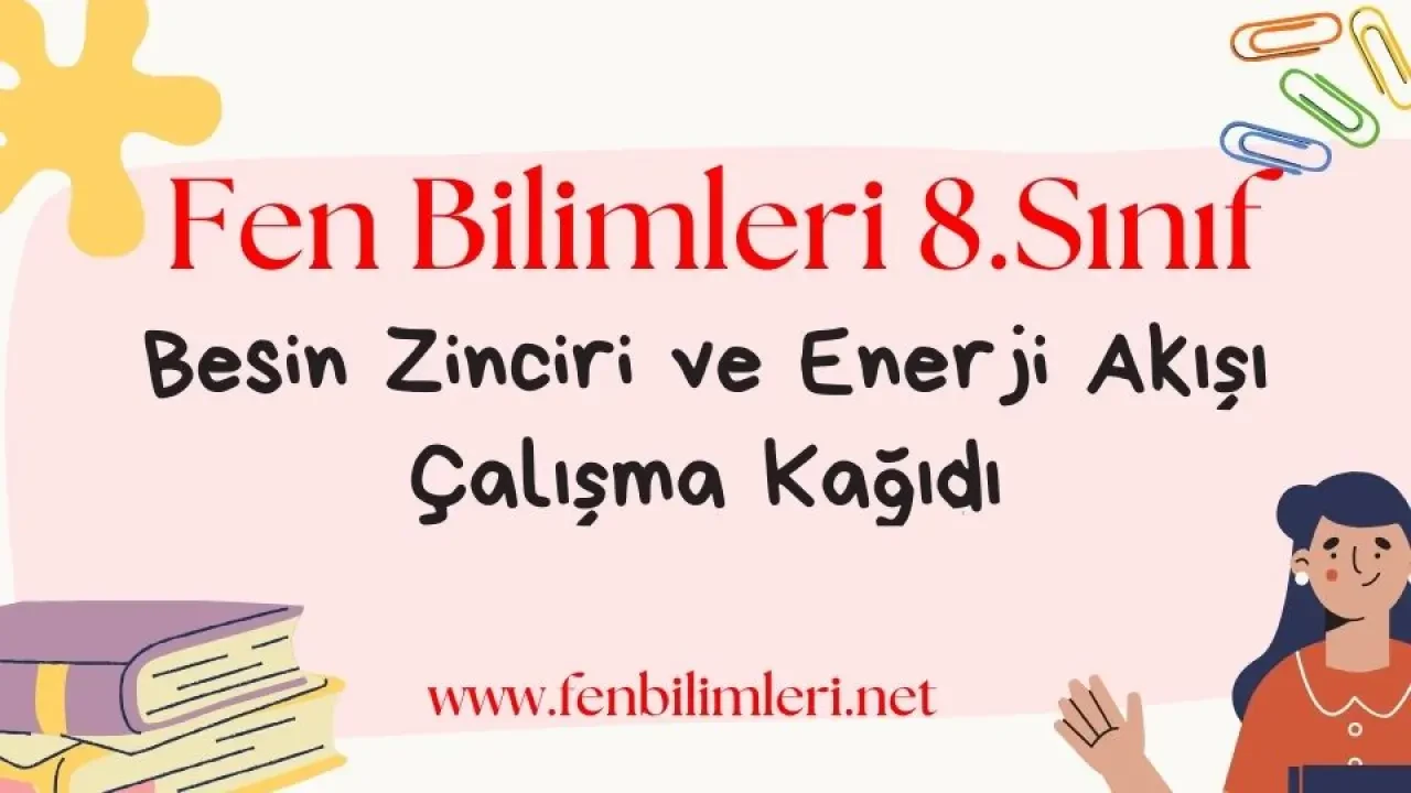 Besin Zinciri ve Enerji Akışı Çalışma Kağıdı