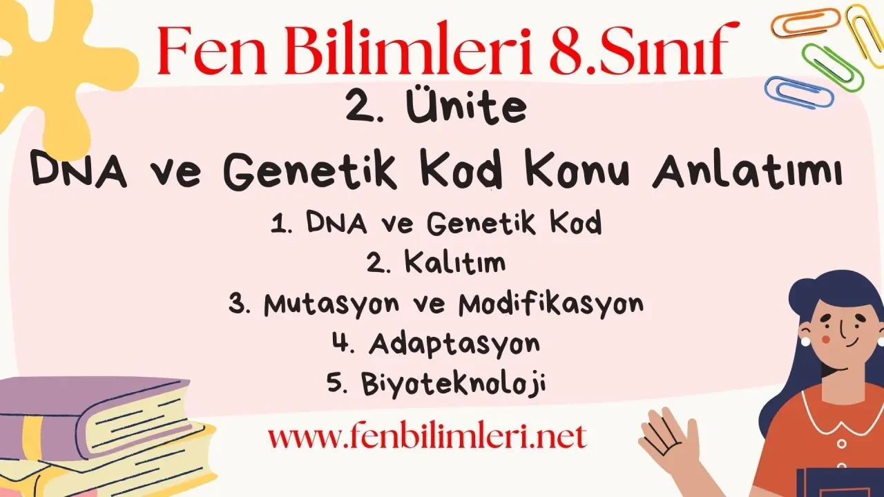Fen Bilimleri 8. Sınıf 2. Ünite Konu Anlatımı Pdf