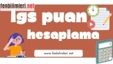 LGS Puan Hesaplama