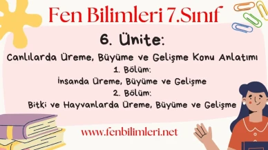 Fen Bilimleri 7. Sınıf 6. Ünite Konu Anlatımı Pdf
