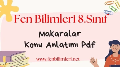 Makaralar Konu Anlatımı