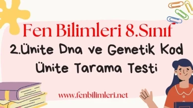 Fen Bilimleri 8. Sınıf 2. Ünite Test