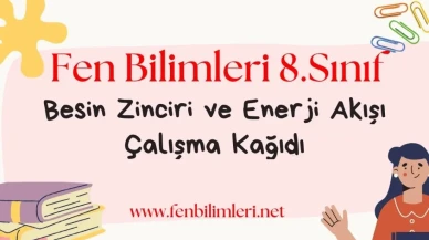 Besin Zinciri ve Enerji Akışı Çalışma Kağıdı