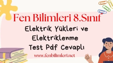 Elektrik Yükleri ve Elektriklenme Test