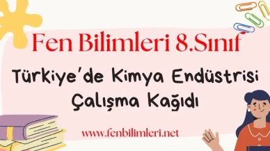 Türkiye'de Kimya Endüstrisi Çalışma Kağıdı