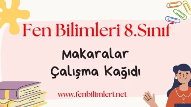 Makaralar Çalışma Kağıdı