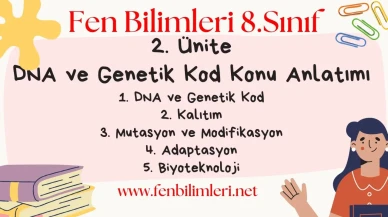 Fen Bilimleri 8. Sınıf 2. Ünite Konu Anlatımı Pdf