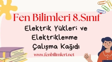 Elektrik Yükleri ve Elektriklenme Çalışma Kağıdı