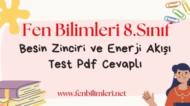 Besin Zinciri ve Enerji Akışı Test