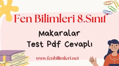 Makaralar Test