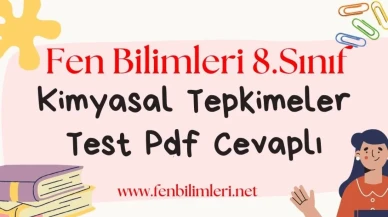 Kimyasal Tepkimeler Test