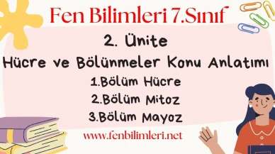 Fen Bilimleri 7. Sınıf 2. Ünite Konu Anlatımı Pdf