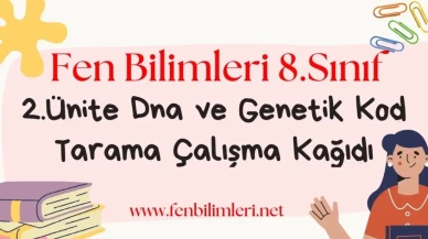 Fen Bilimleri 8. Sınıf 2. Ünite Çalışma Kağıdı Pdf