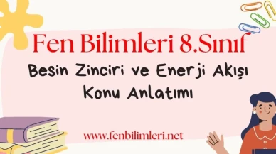 Besin Zinciri ve Enerji Akışı Konu Anlatımı