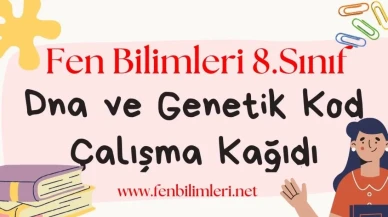 DNA ve Genetik Kod Çalışma Kağıdı