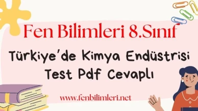 Türkiye'de Kimya Endüstrisi Test