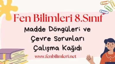 Madde Döngüleri ve Çevre Sorunları Çalışma Kağıdı