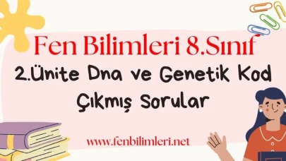 DNA ve Genetik Kod Çıkmış Sorular Pdf