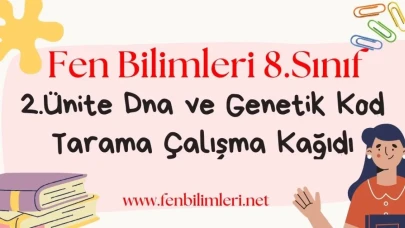 Fen Bilimleri 8. Sınıf 2. Ünite Çalışma Kağıdı Pdf